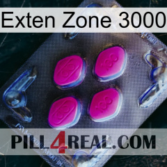 Exten Zone 3000 02